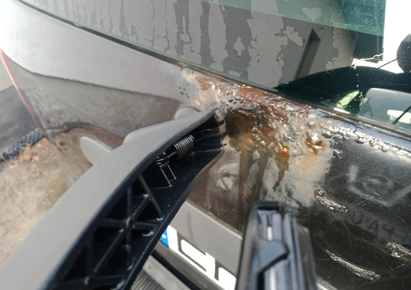 Opel Zafira cena 7000 przebieg: 364000, rok produkcji 2004 z Czarna Białostocka małe 92